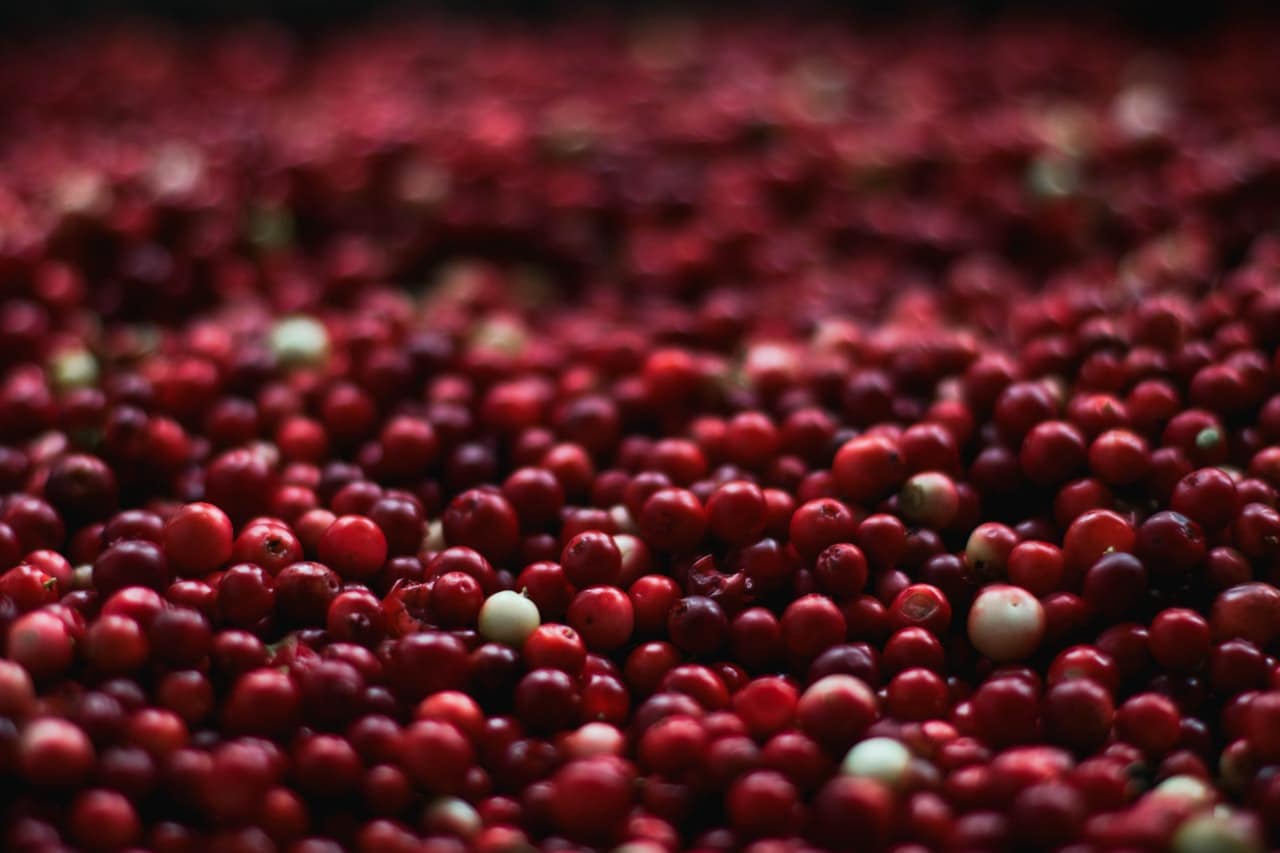 why is cranberry good for you