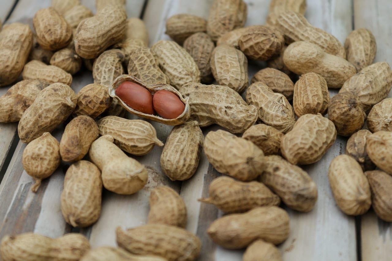 Learn How To Grow Peanuts Iupilon
