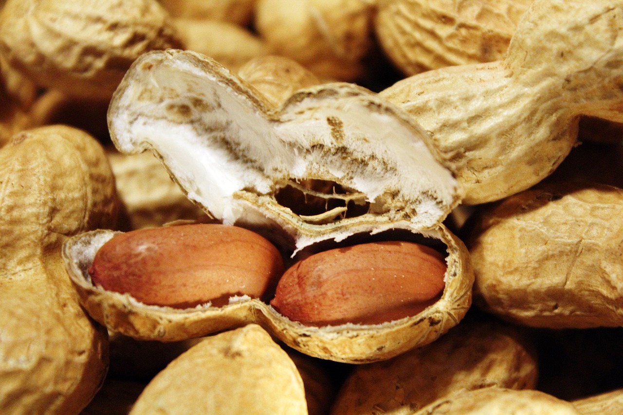 Are Peanut Shells Edible? | Iupilon