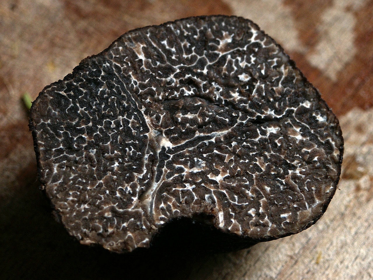 what-does-black-truffle-taste-like-is-it-delicious-iupilon