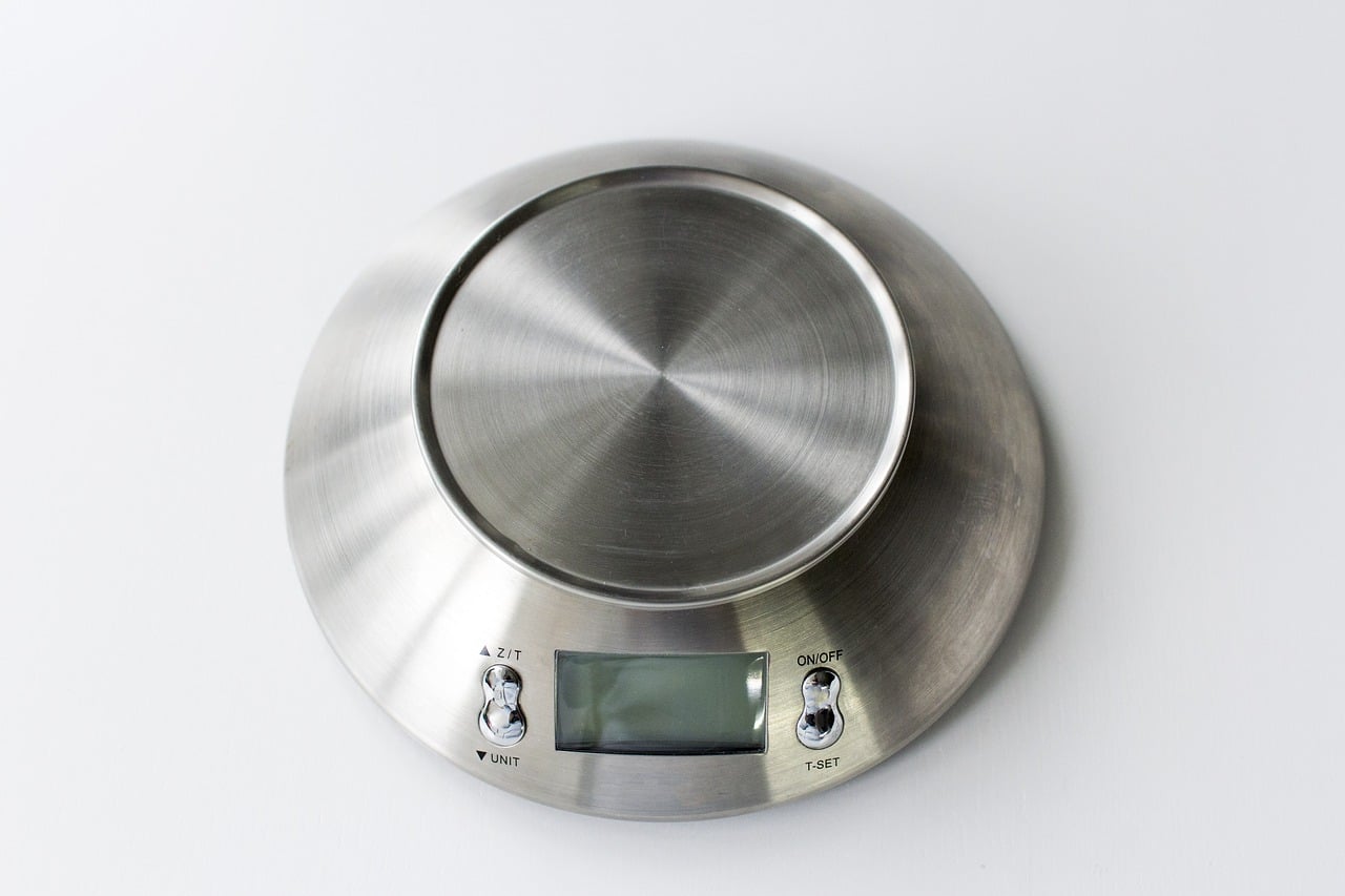 Digital Kitchen Scale Digital Weight Grams and Ounces Stainless Steel