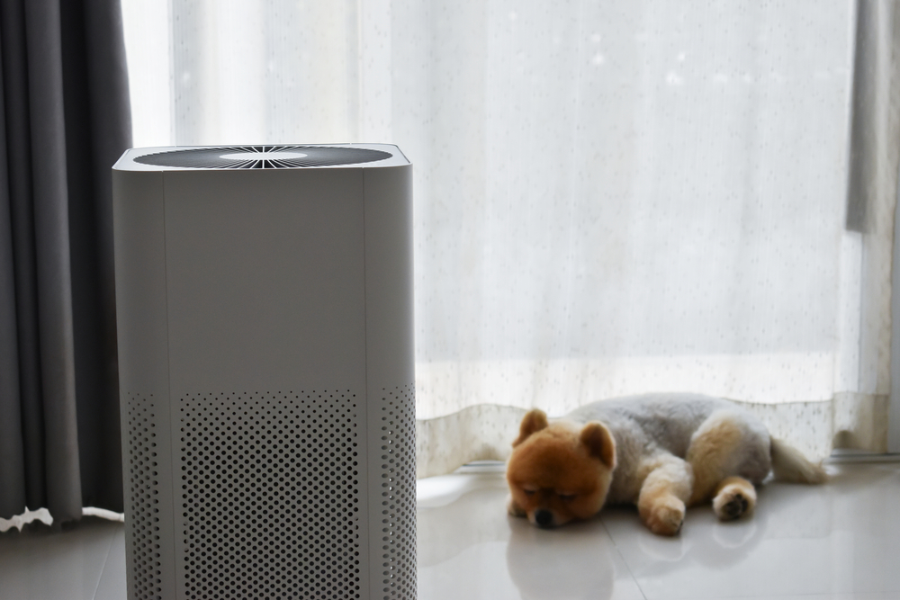 do-air-purifiers-have-to-be-on-all-the-time-iupilon